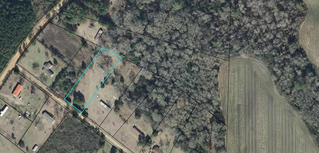 105 Feather Field Ct, Sasser, GA, 39842