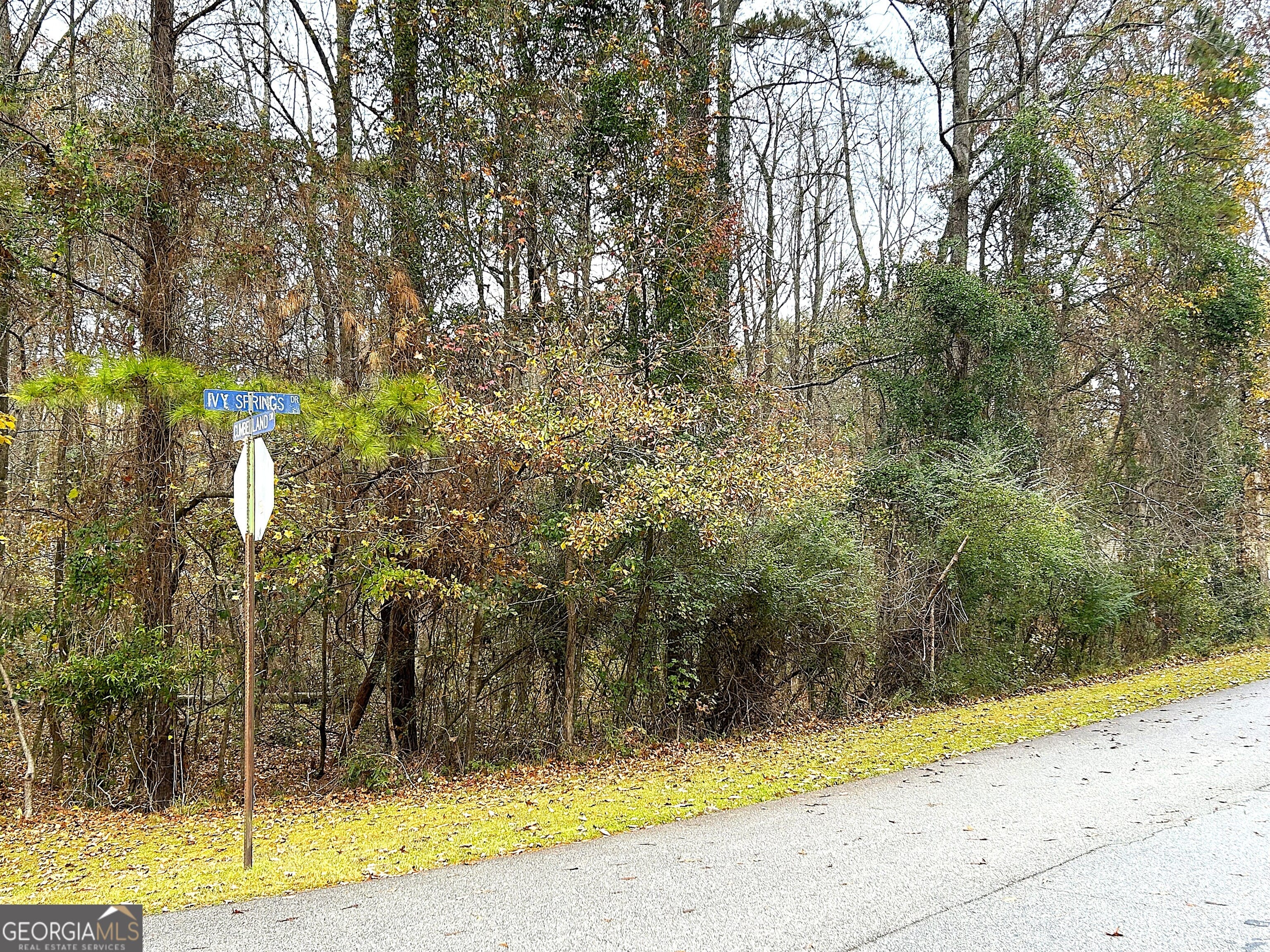101 Ivy Springs Dr, LaGrange, GA 30240