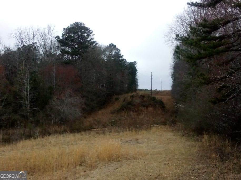 0 Old Woodbury, Woodbury, GA, 30293