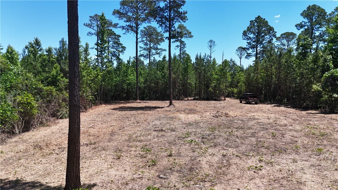 00 LEE ROAD 11, OPELIKA, AL, 36804 — Photo 2