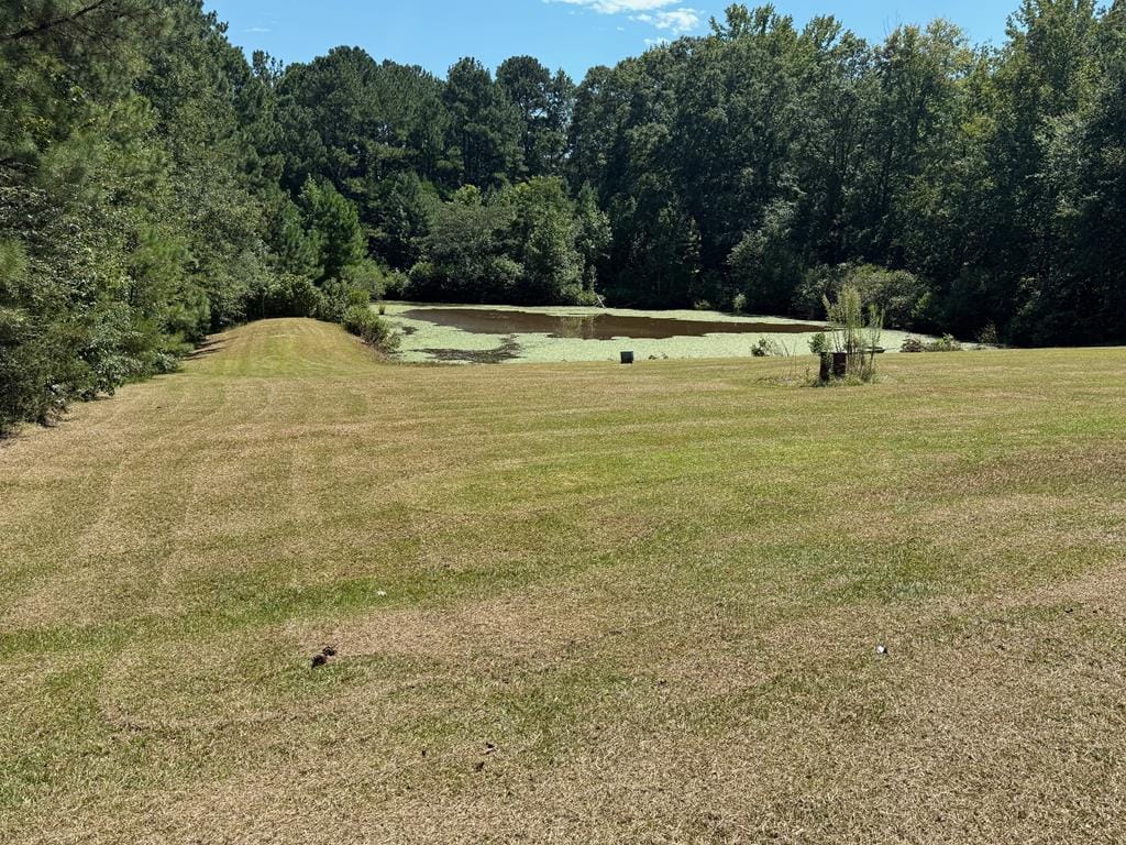 1600 Grant Ave, Manchester, GA 31816, USA — Photo 3