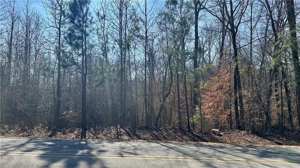 Lot 5 Lee Road 462, Valley, AL, 36870