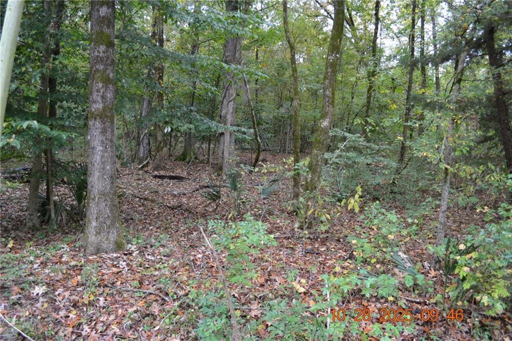 0 Carson Drive, Seale, AL, 36875 — Photo 3