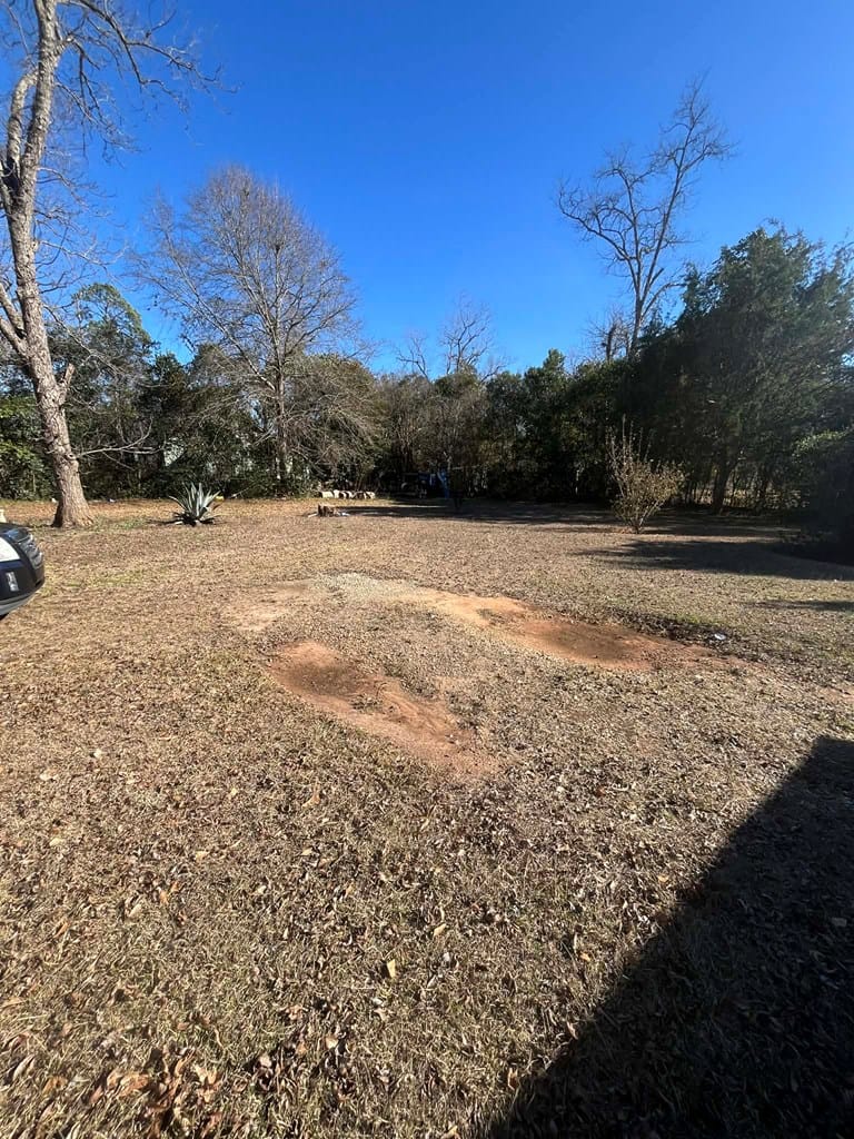 986 Alston Street, Richland, GA, 31825 — Photo 3