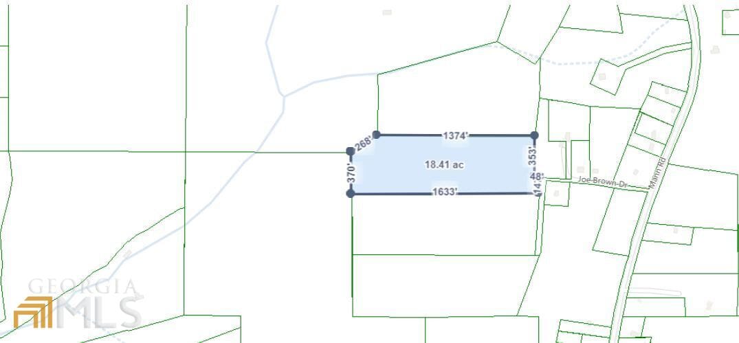 105 Joe Brown Dr, Shiloh, GA 31826