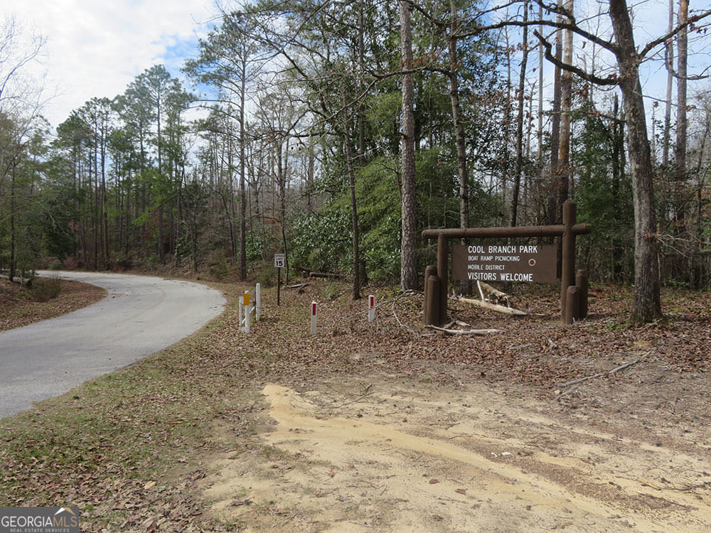 0 Cool Branch Rd, Georgetown, GA 39854