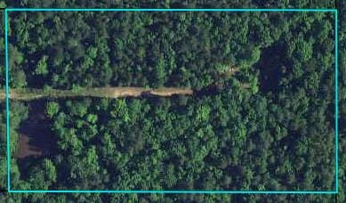 0 Taylor Road, Talbot, GA, 31831