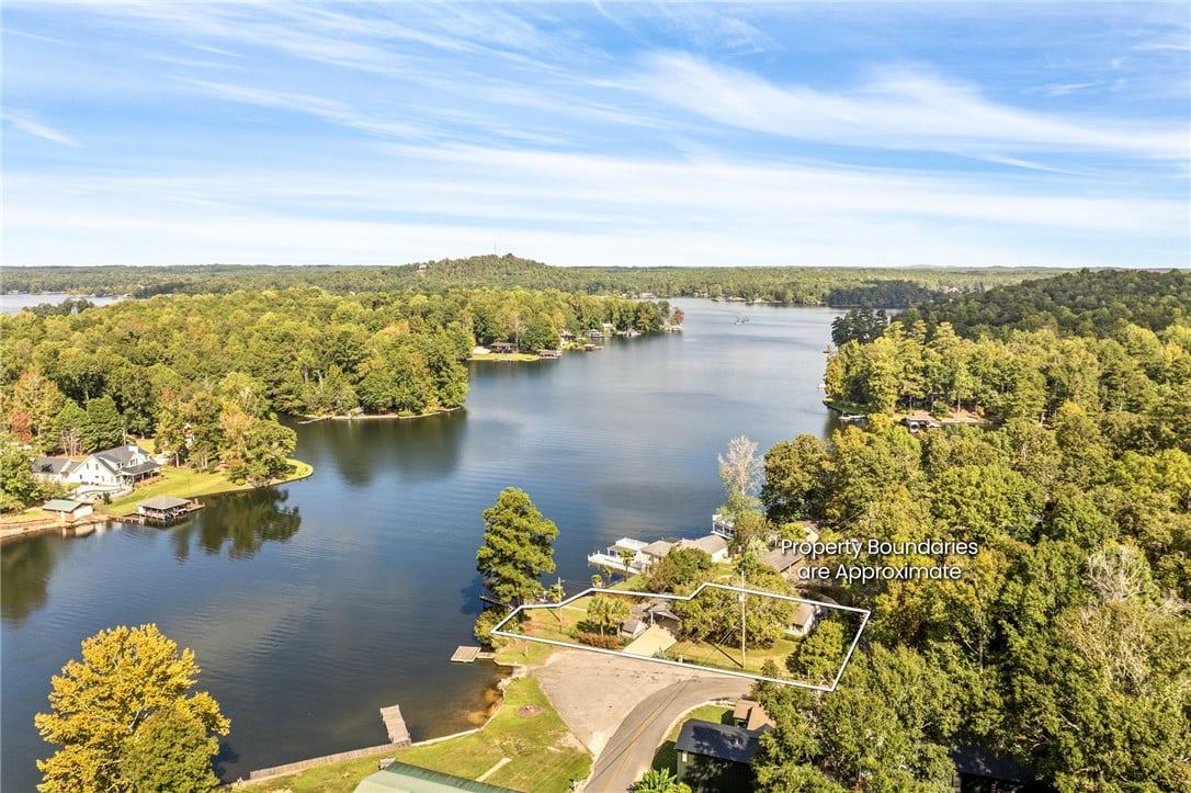 605 Lee Road 346, Salem, AL 36874, An aerial perspective showcases a lakeside propert