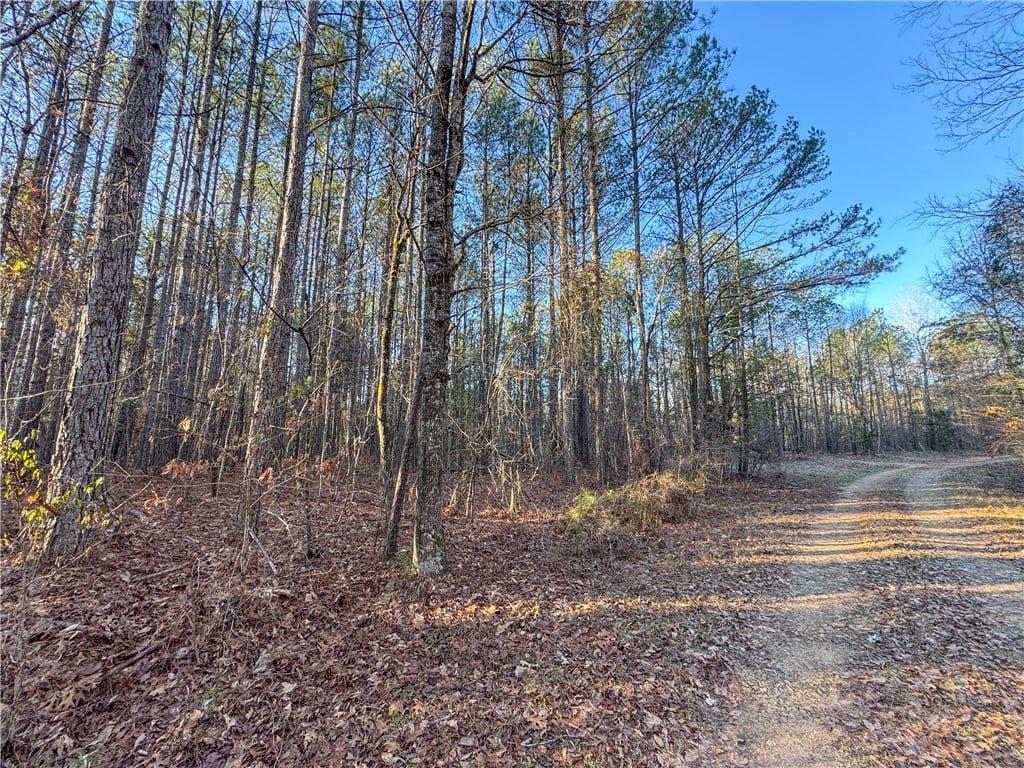 3427 Seals St, Waverly, AL 36879