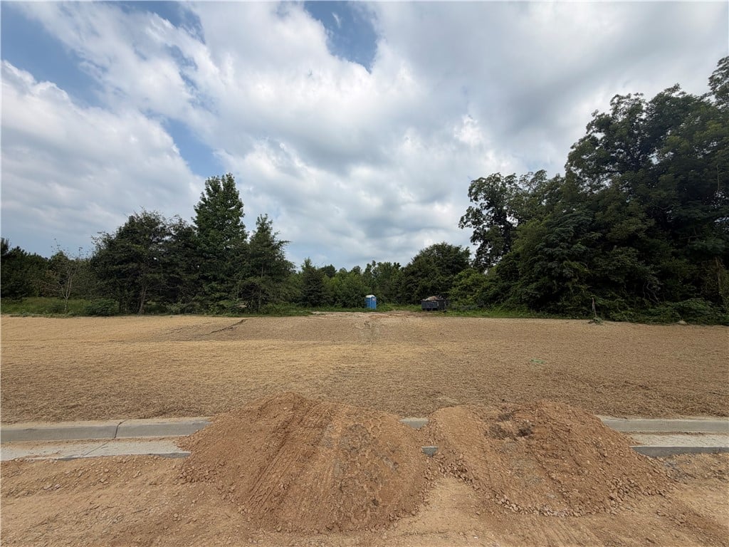 Lot 22 HOMESTEAD, Smiths Station, AL, 36877