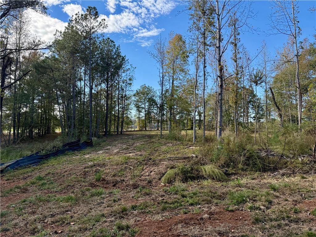 369 US HWY 169 South, Seale, AL, 36875 — Photo 3