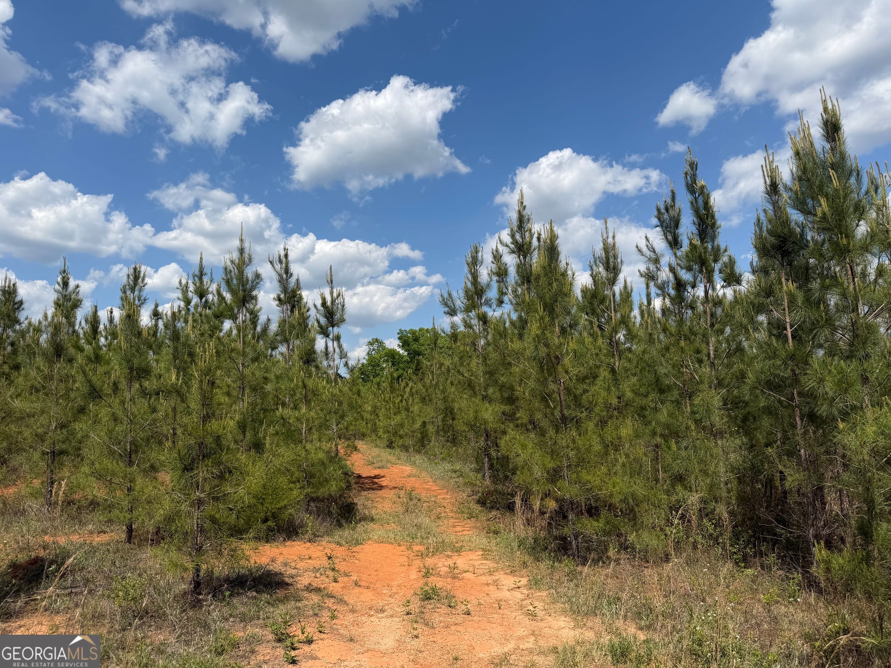9 George Milling Rd, Cuthbert, GA 39840