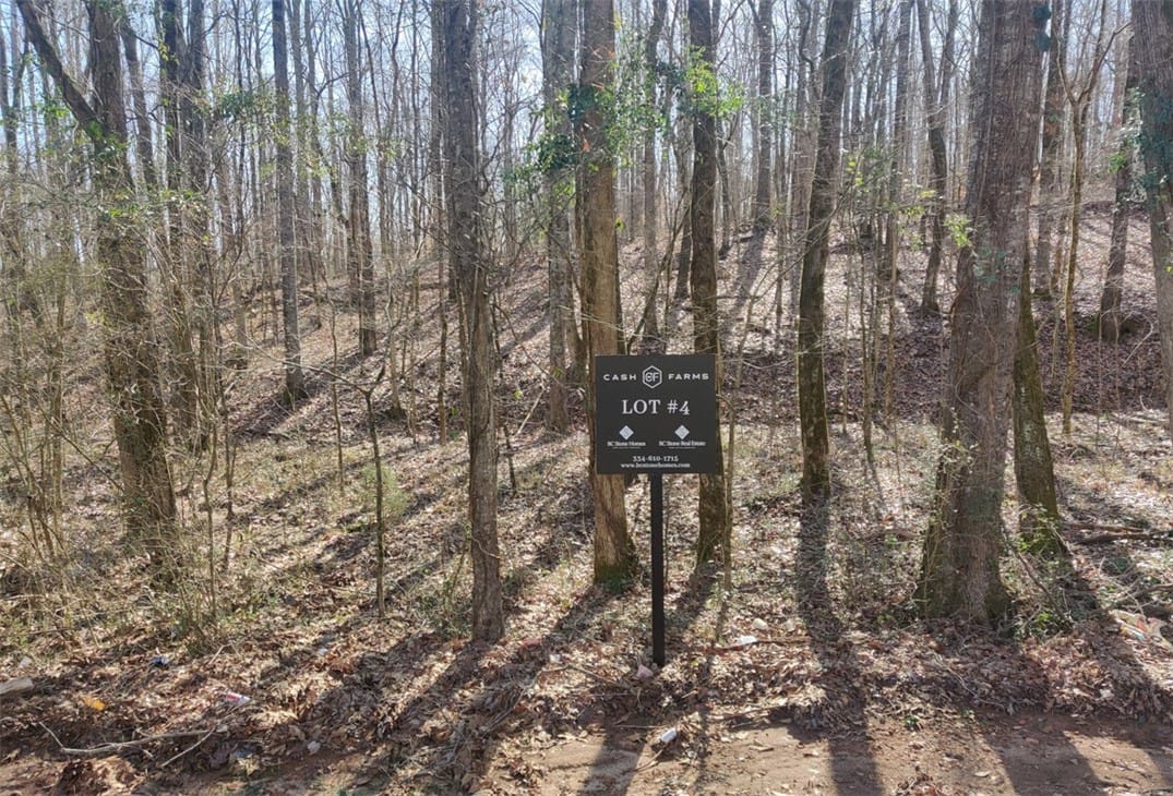 Lot 4 LEE ROAD 188, Waverly, AL, 36879 — Photo 2