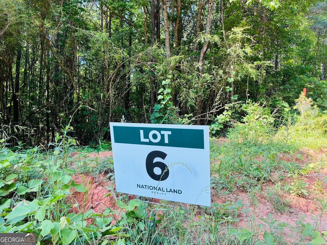 0 6th Street #lot 6, Ashland, AL, 36251