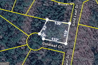 0 Goldleaf Court, Grantville, GA, 30220