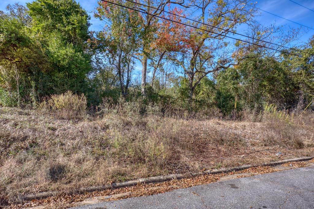 917 7th Ave, Phenix City, AL 36867, USA, Main View