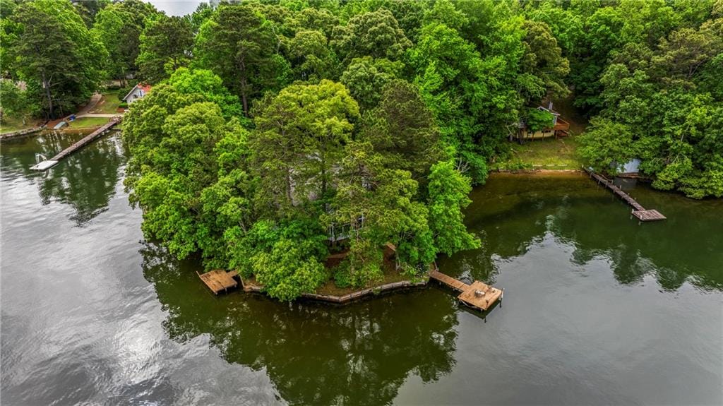 1705 Lee Road 348, Salem, AL, 36874 — Photo 3