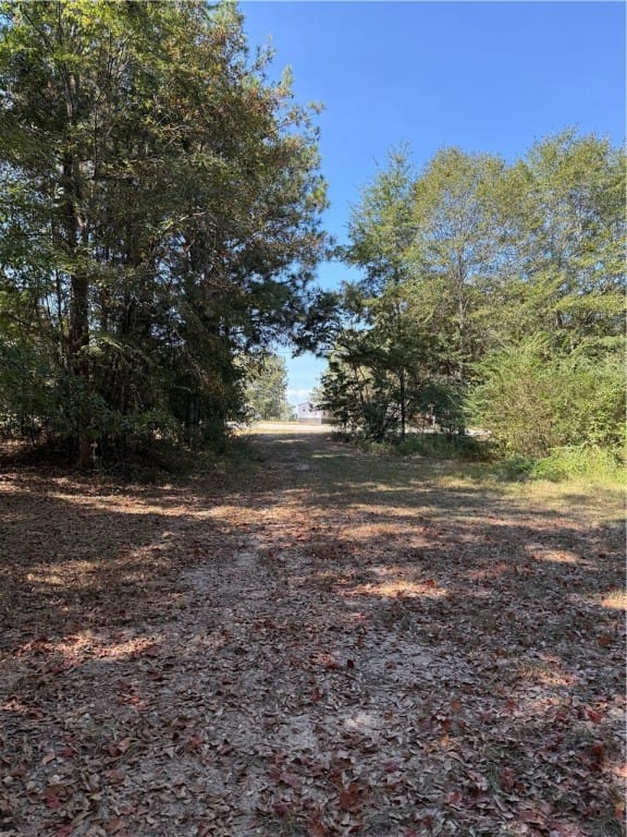 0 AL HIGHWAY 51, Beauregard, AL, 36804 — Photo 3