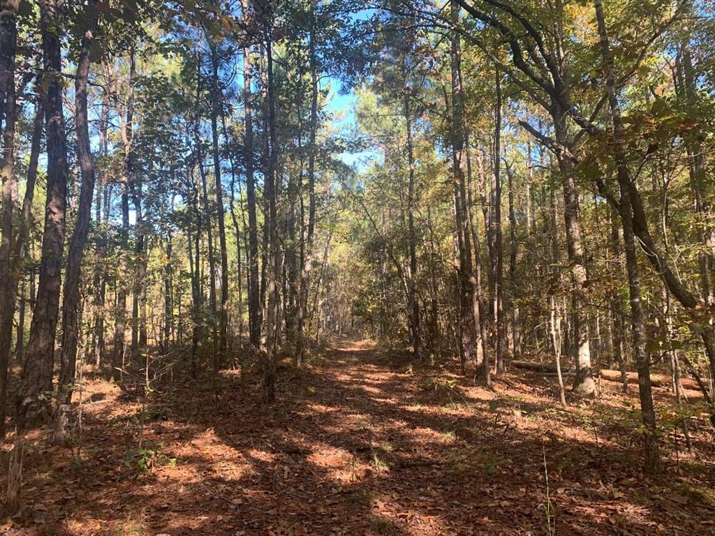 Lot 9 Tiger Way, Fortson, GA, 31808 — Photo 3