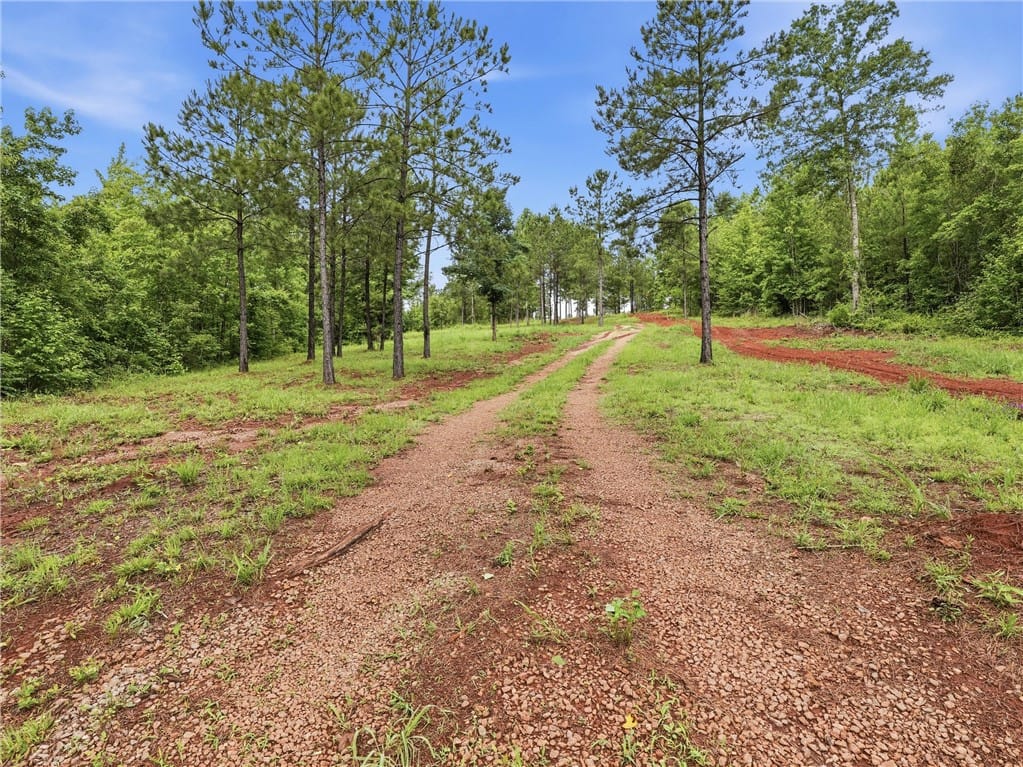 2700 Lee Road 78, Waverly, AL 36879, USA, A private gravel driveway winds through a wooded l