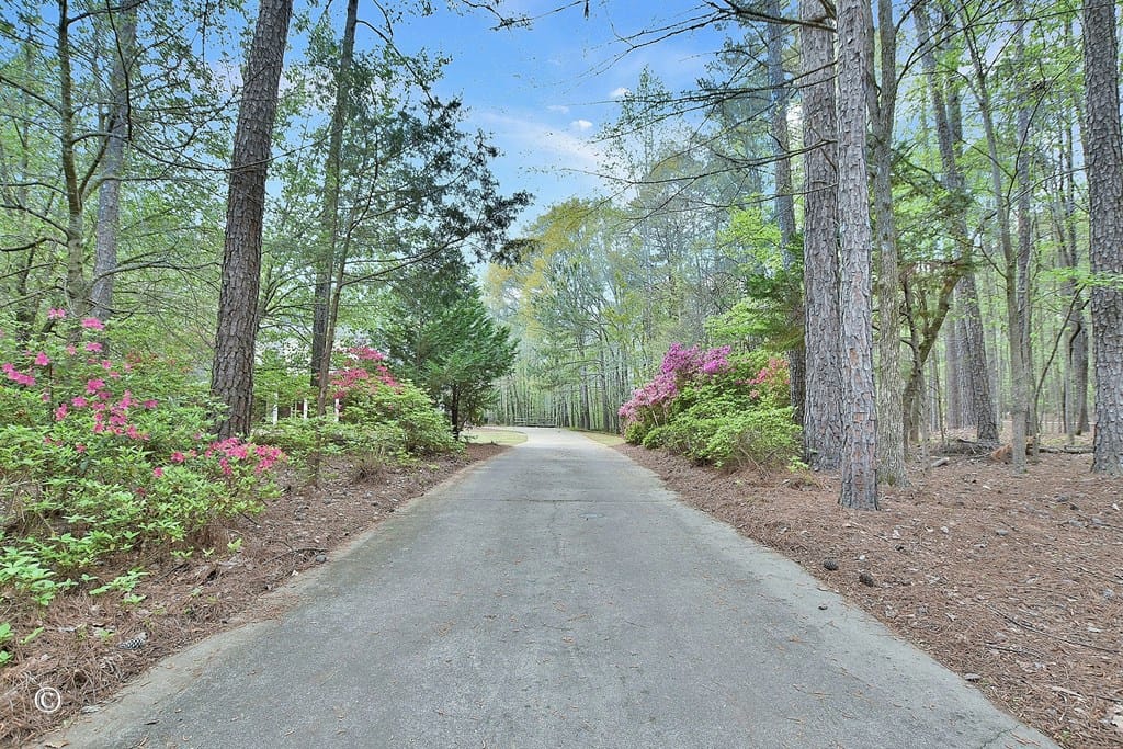 1008 Rocky Shoals Drive, Midland, GA, 31820 — Photo 3