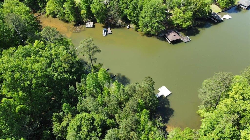 0 Lee Road 345, Salem, AL 36874