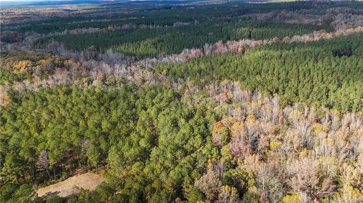 407 COUNTY ROAD 258, Five Points, AL, 36855 — Photo 3