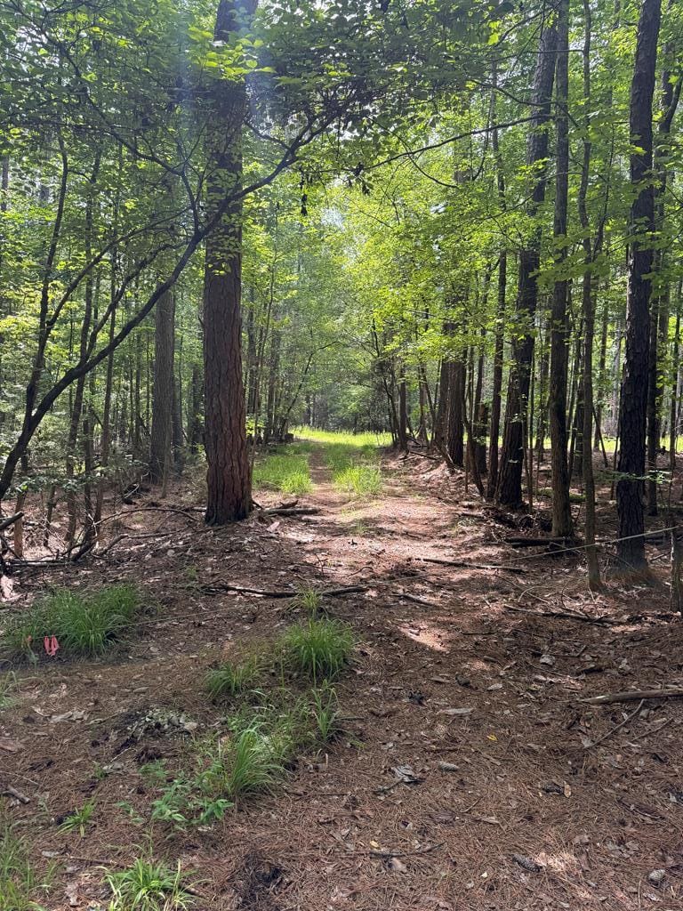 555 Mountain Brook Rd, Fortson, GA 31808