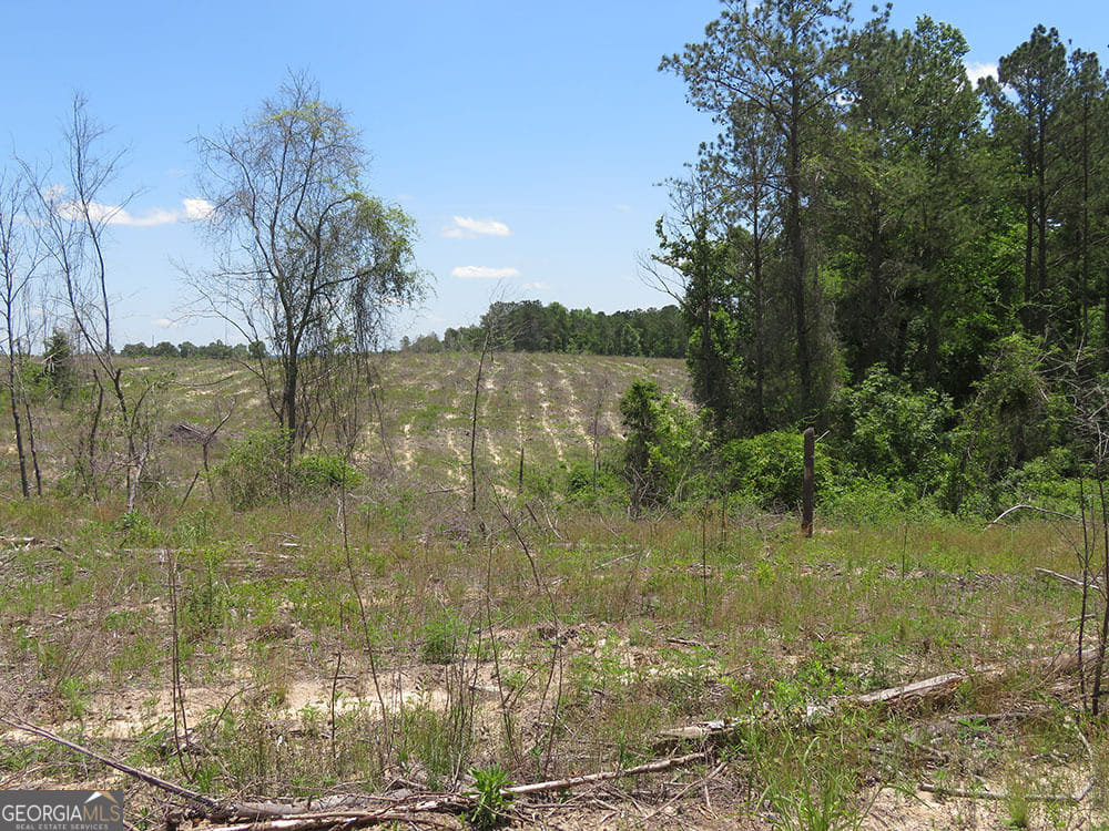 0 Pineville, Buena Vista, GA, 31803