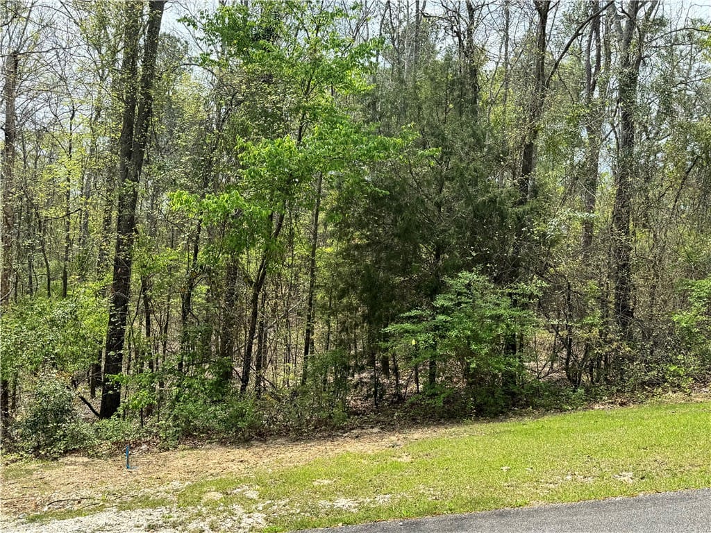 975 LEE ROAD 2159, Beauregard, AL, 36804 — Photo 3