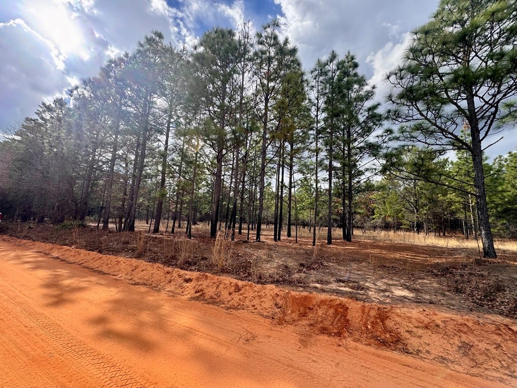 0 Simmons Road, Mauk, GA, 31058 — Photo 2