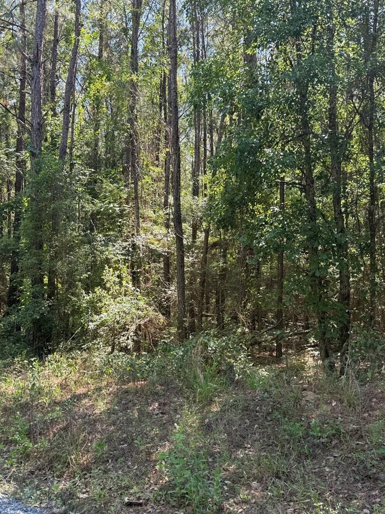 000 Appian Way, Baconton, GA, 31716