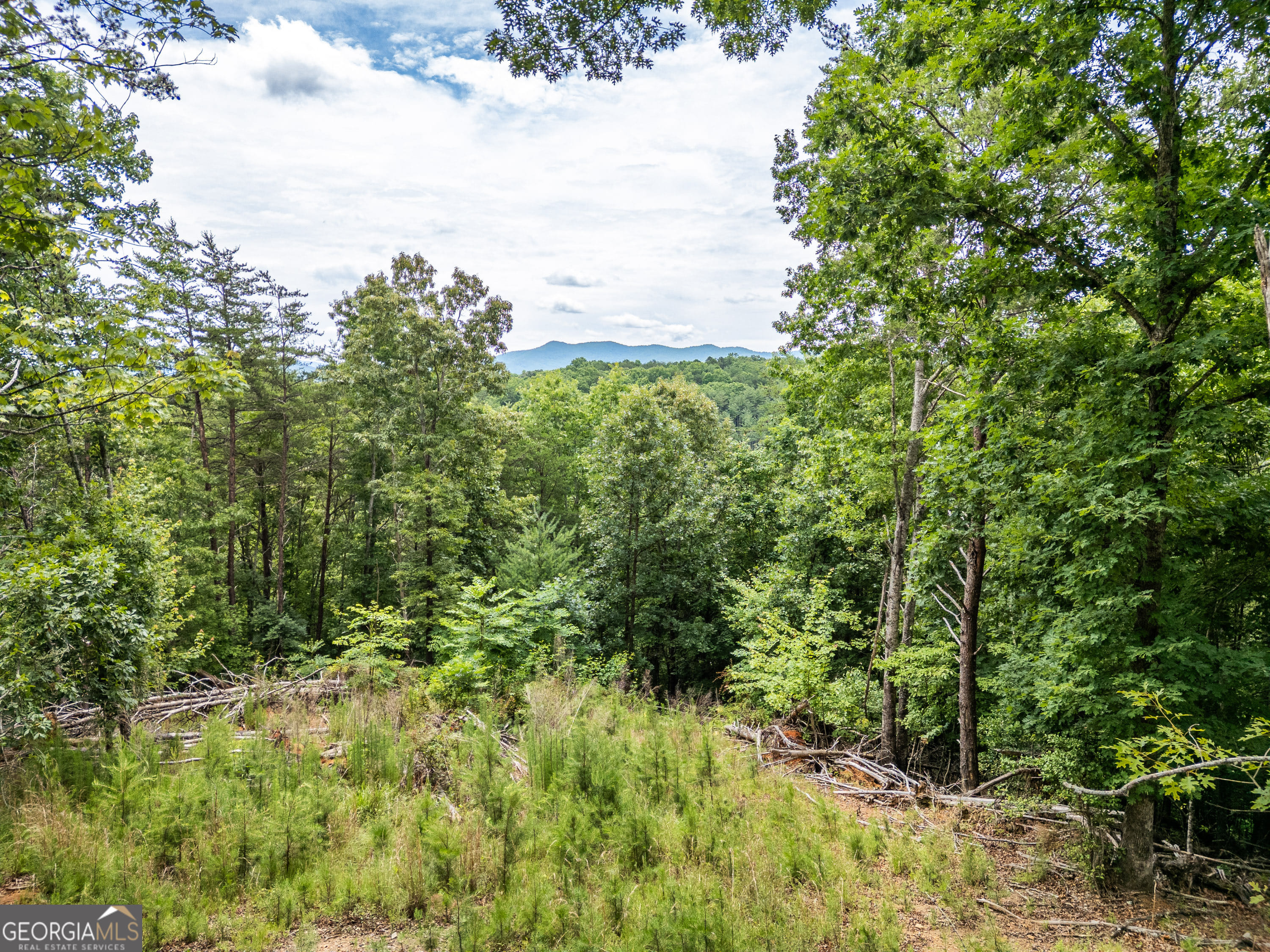 1 Stormy Ridge, Brasstown, NC, 20902