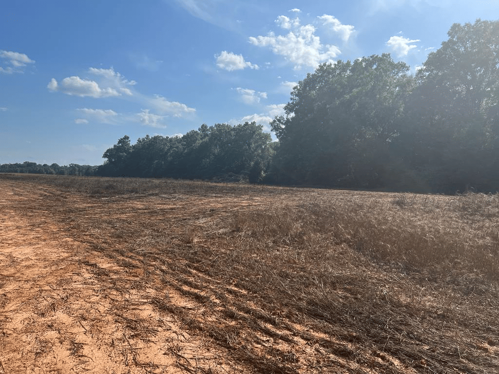 717 Murphy Road, Leesburg, GA, 31763