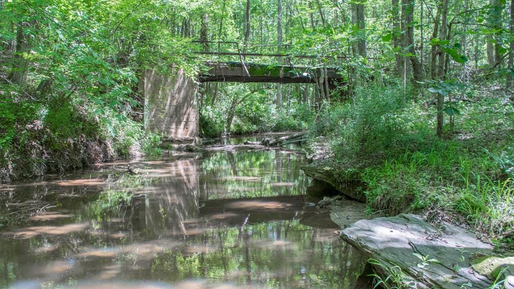 0 Trammell Mill Road, Shiloh, GA, 31826