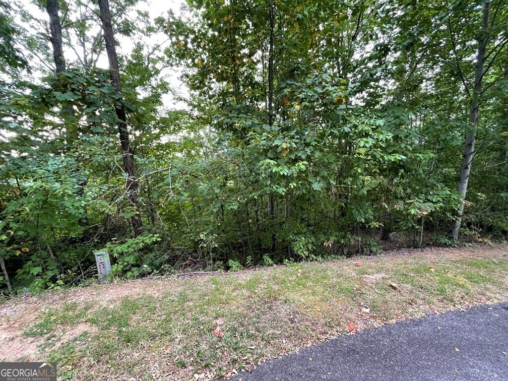 32 Mountain Harbour Dr, Hayesville, NC 28904