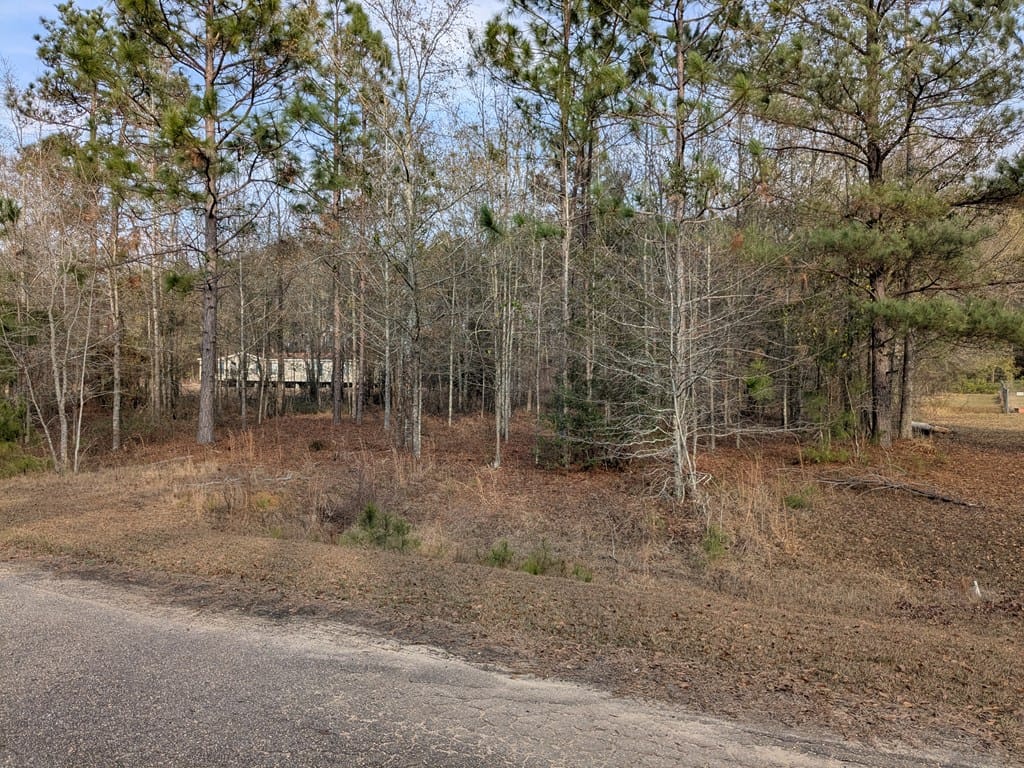 123 Case Rd, Sylvester, GA 31791, USA — Photo 2