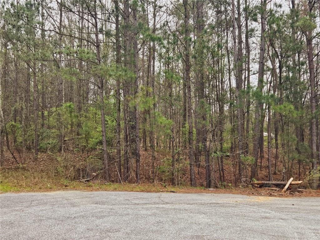 0 Lee Road 243, Smiths Station, AL, 36877