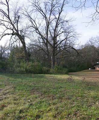 0 Copeland Lane, Hamilton, GA, 31811