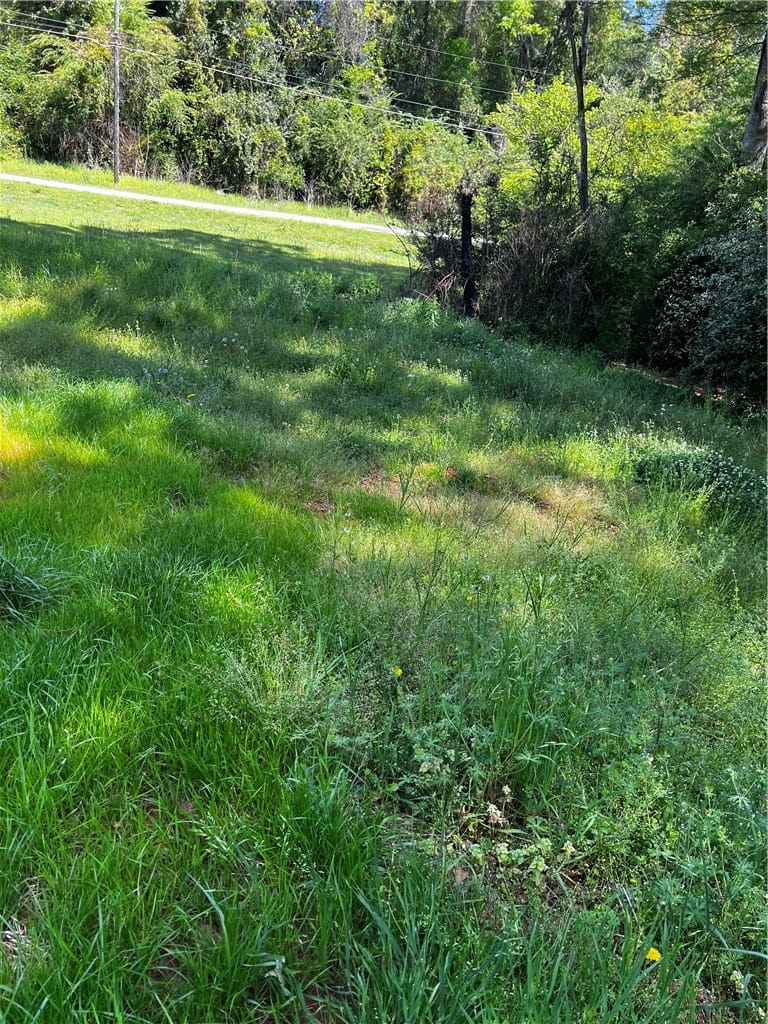 7281 20th Avenue, Valley, AL, 36854 — Photo 2