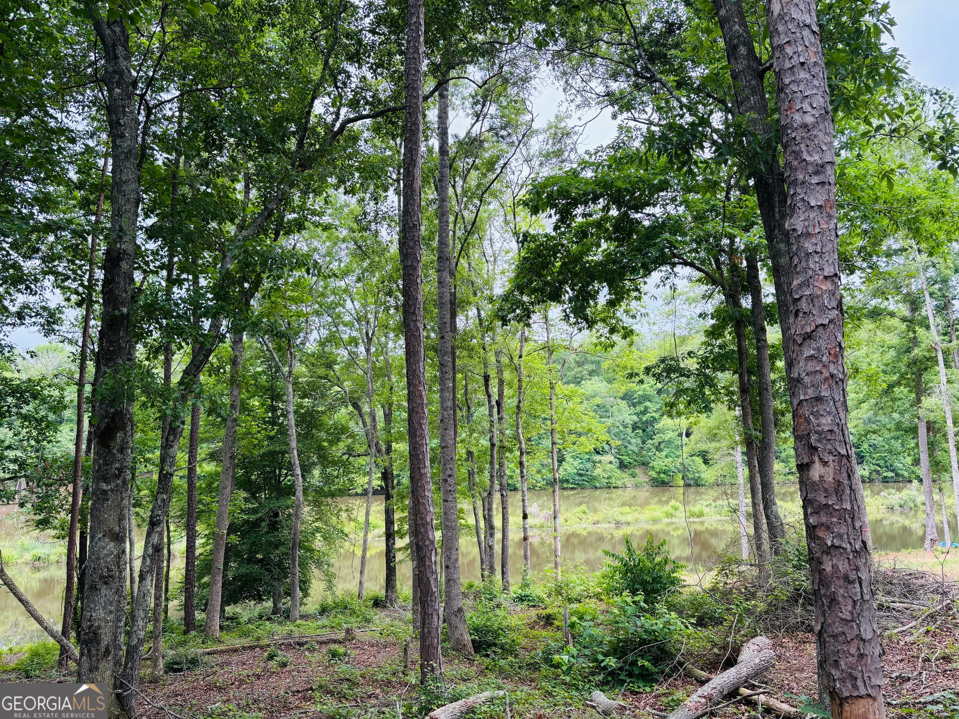 LOT 8 County Road 499, Woodland, AL, 36280