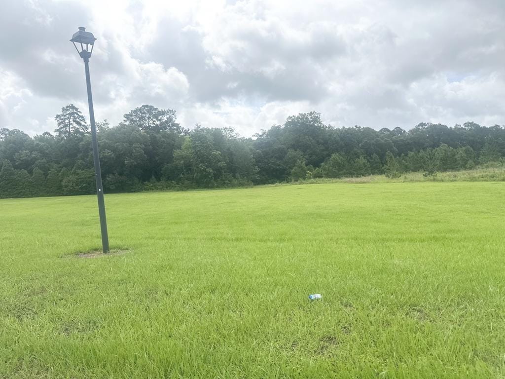 TR 1 Grand Island Drive, Leesburg, GA, 31763