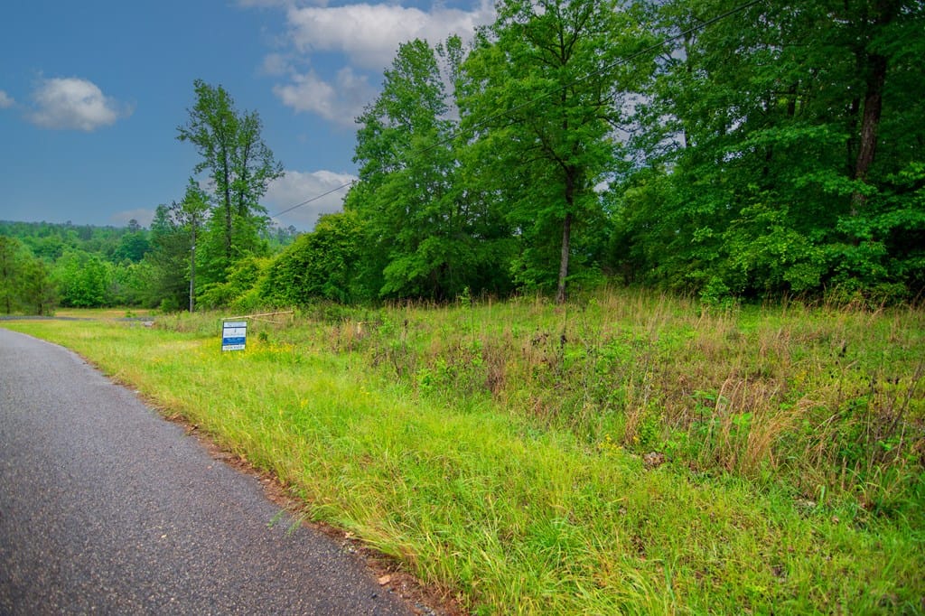 Lot 13 Crestline Drive, Upatoi, GA, 31823 — Photo 2