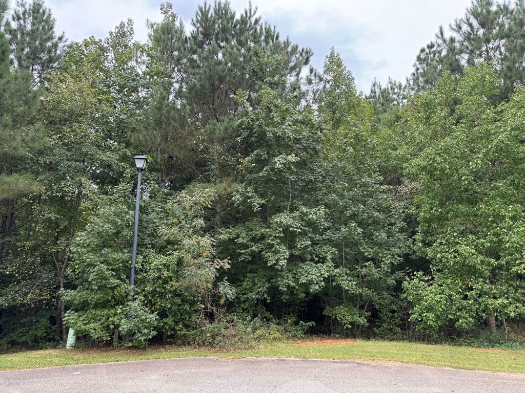 Lot 19 Bellinger Estates, Fortson, GA, 31808 — Photo 3