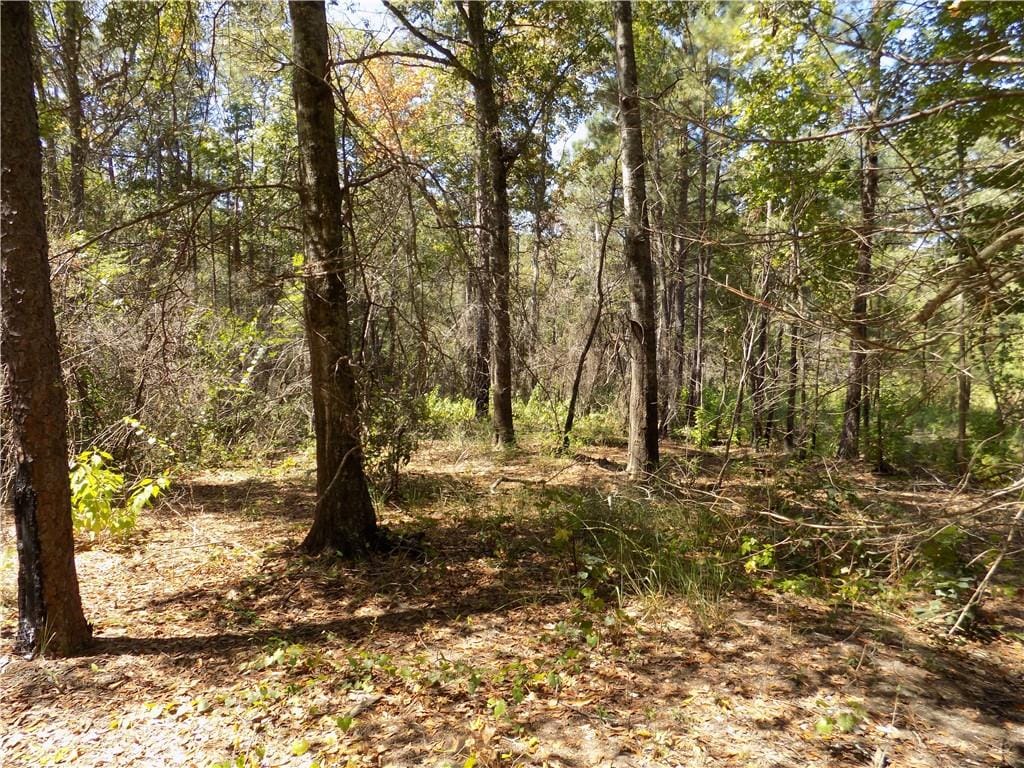 Lot 3 Macon County Road 24, Auburn, AL, 36830 — Photo 3