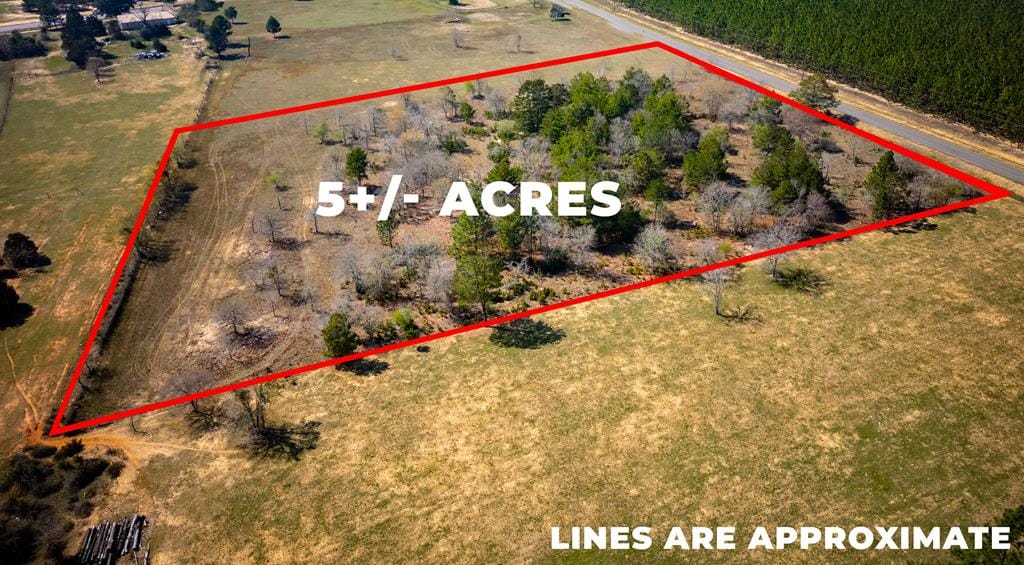 5 ac Kirkland Store Road, Box Springs, GA, 31801