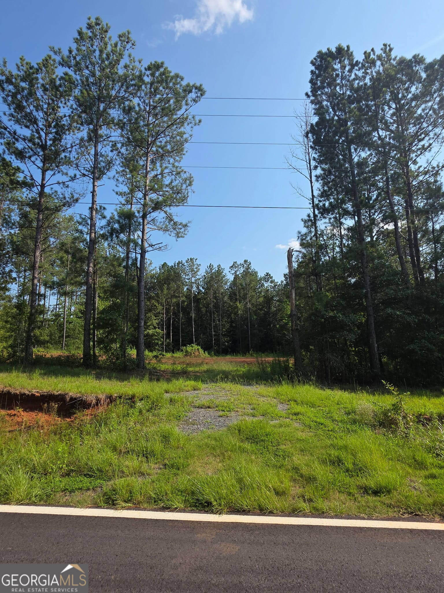 276 Bishop Rd, Meansville, GA 30256, USA