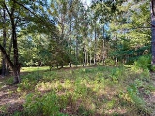 PARCEL A LEE ROAD 390, Opelika, AL, 36804 — Photo 2