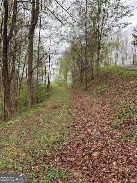 10 High Meadows Dr, Hayesville, NC 28904