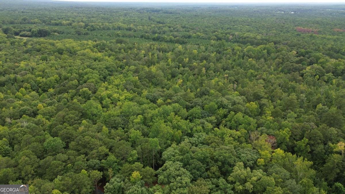 0 Roosevelt HWY - 20.58 Acres, Warm Springs, GA, 31830